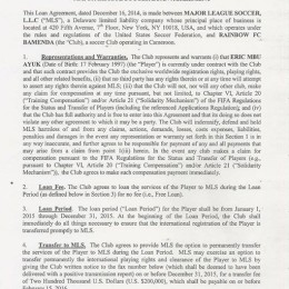 Eric Ayuk's loan contract, as provided by agent Paulo Teixeira.